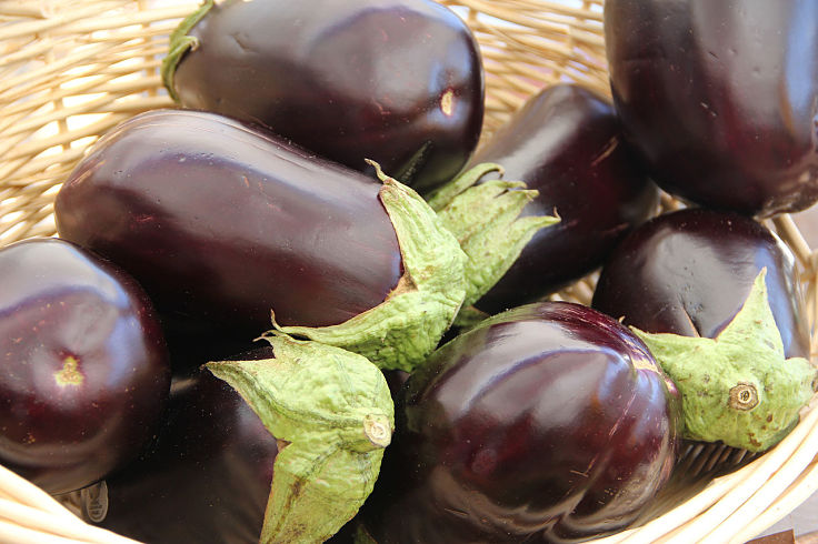 Eggplants are very versatile and have many and varied uses