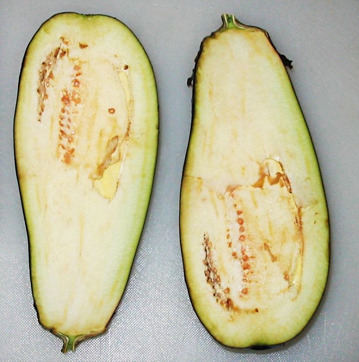 Eggplants often have unusual shapes and forms