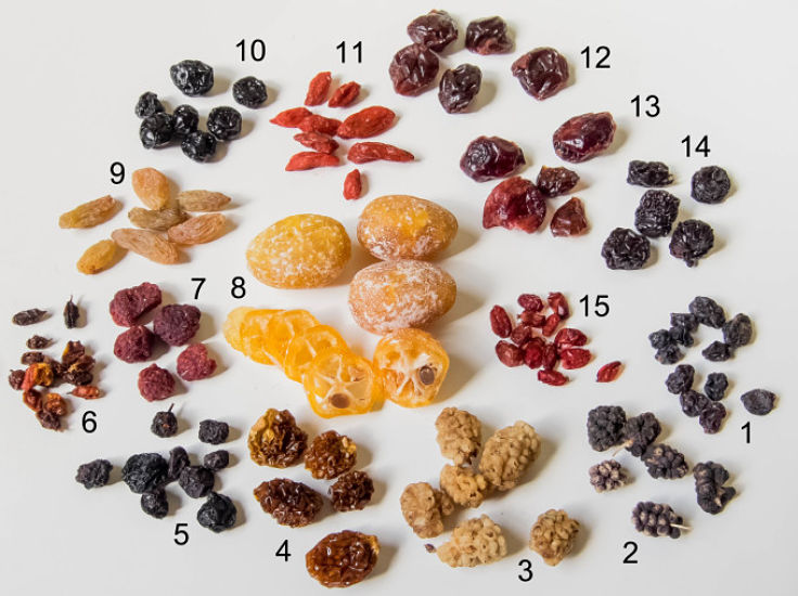 Dried fruit tends to have very high fiber levels, but the sugar and calories are also highly concentrated. So dried fruit shown be consumed in moderation.