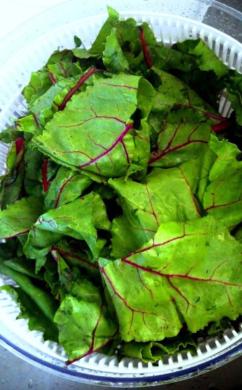 Beet tops and very nutritious and versatile for use in salads, sauces and as a vegetable