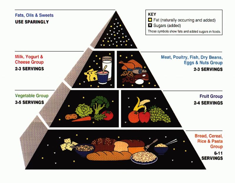 1992 Food Pyramid - one of the first