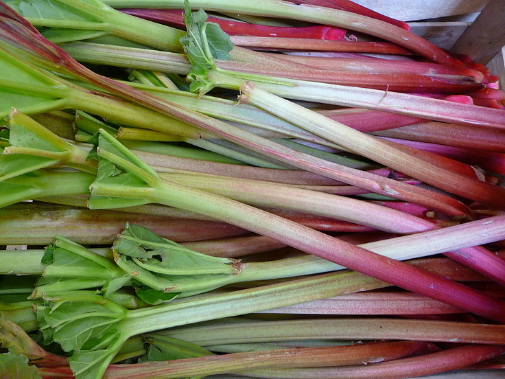 Rhubarb is surprisingly healthy with the least calories of other similar fruits. See great recipes here