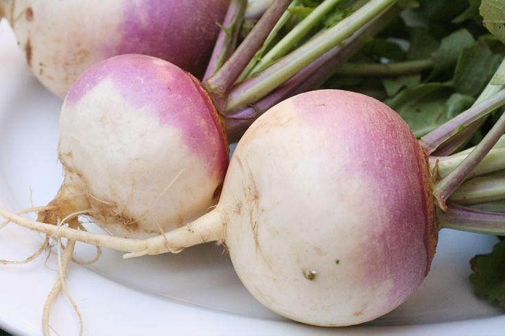 Choose bright small turnips with fresh green tops