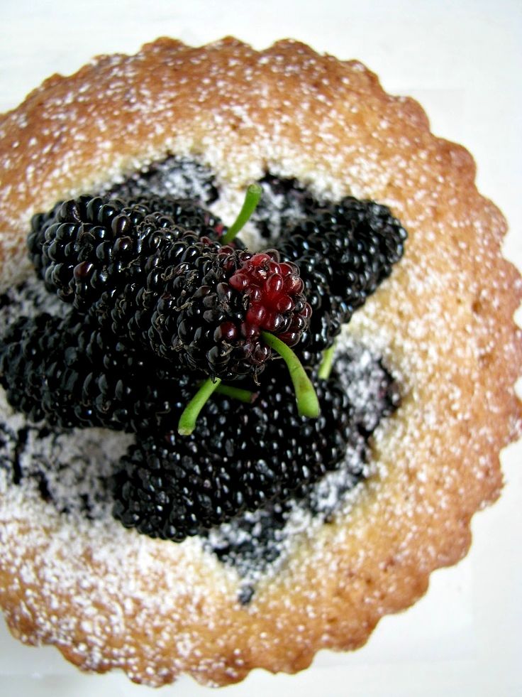 Mulberry, orange and almond tarts are delicious and so easy to make with fresh mulberries